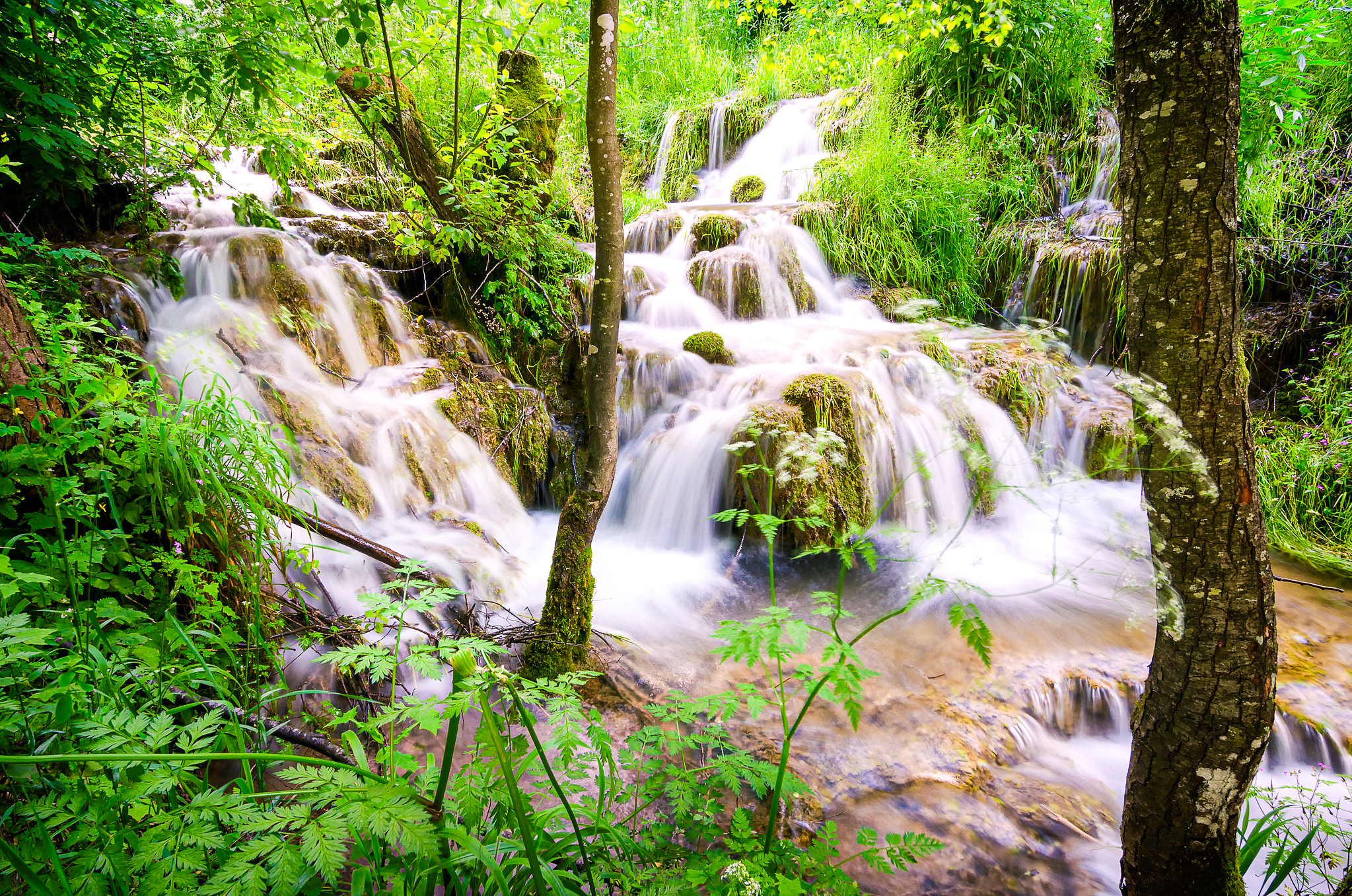 Taorska Springs, Serbia, Serbien, Discover Serbia, Visit Serbia, Explore Serbia, click for serbia