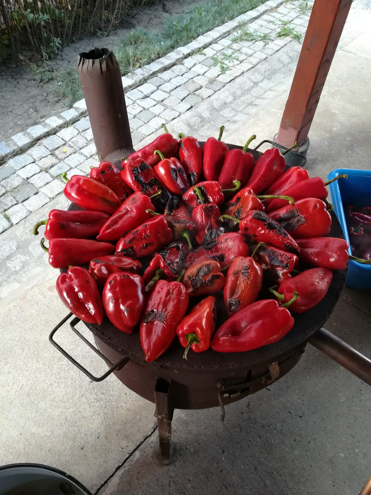 peppers, ajvar