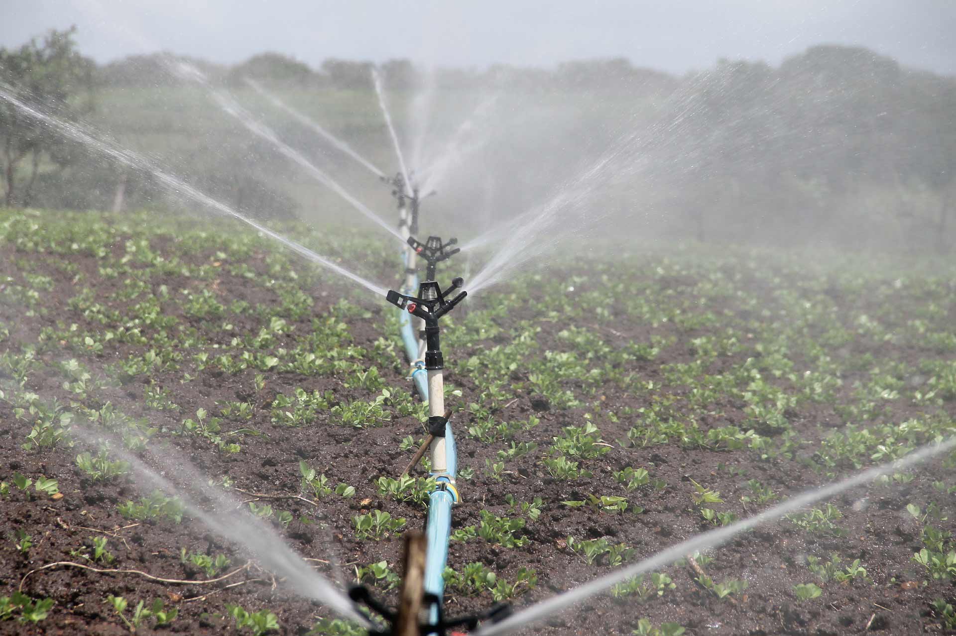 irrigation - world water day