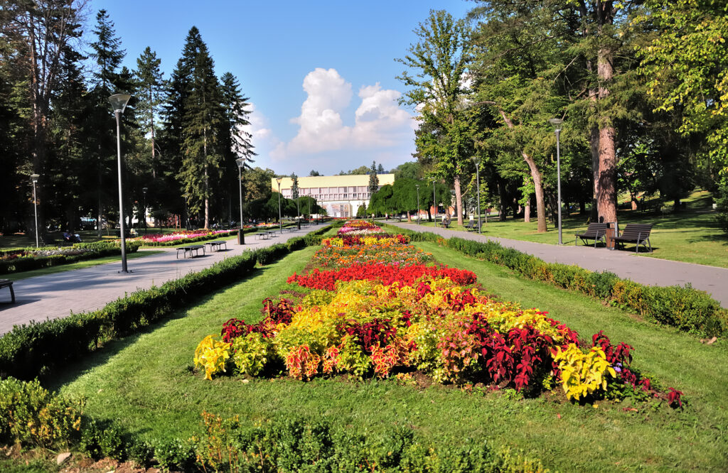 Ornamental Garden, Plant, Season, Serbia, Summer