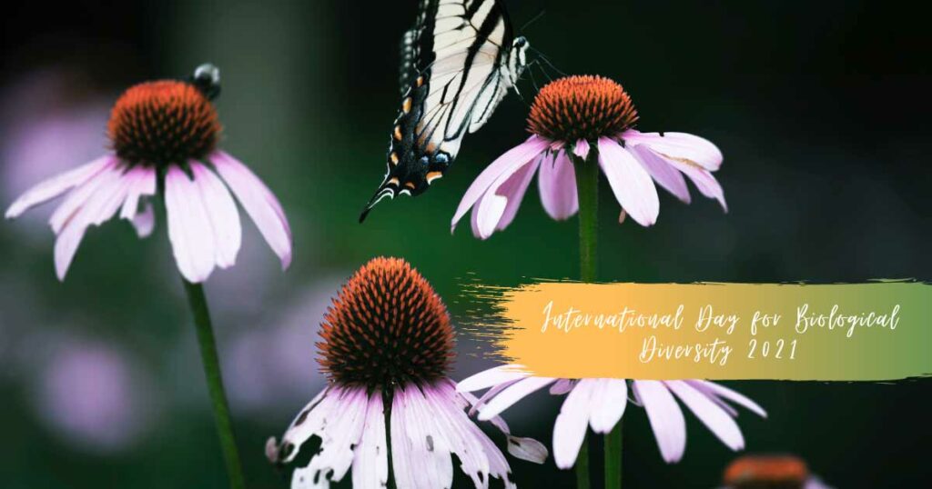 International day of biodiversity