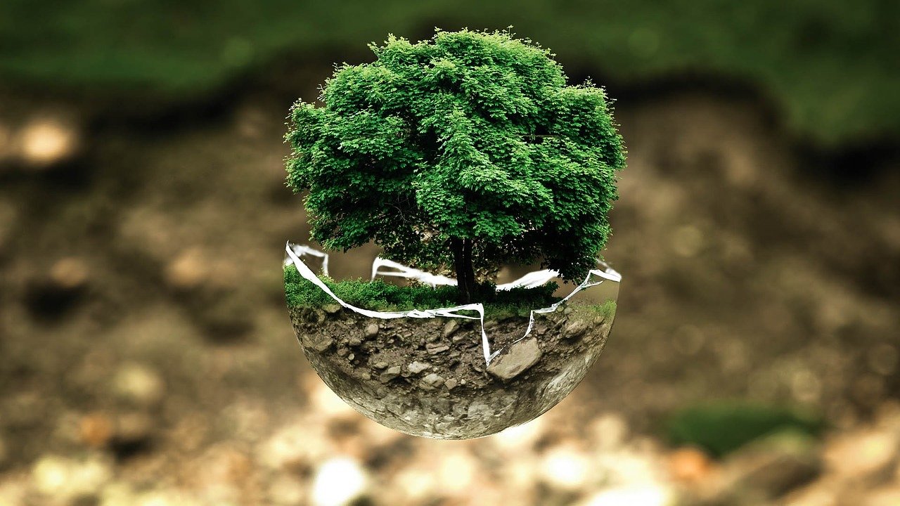 Environmental-protection Environmental-protection