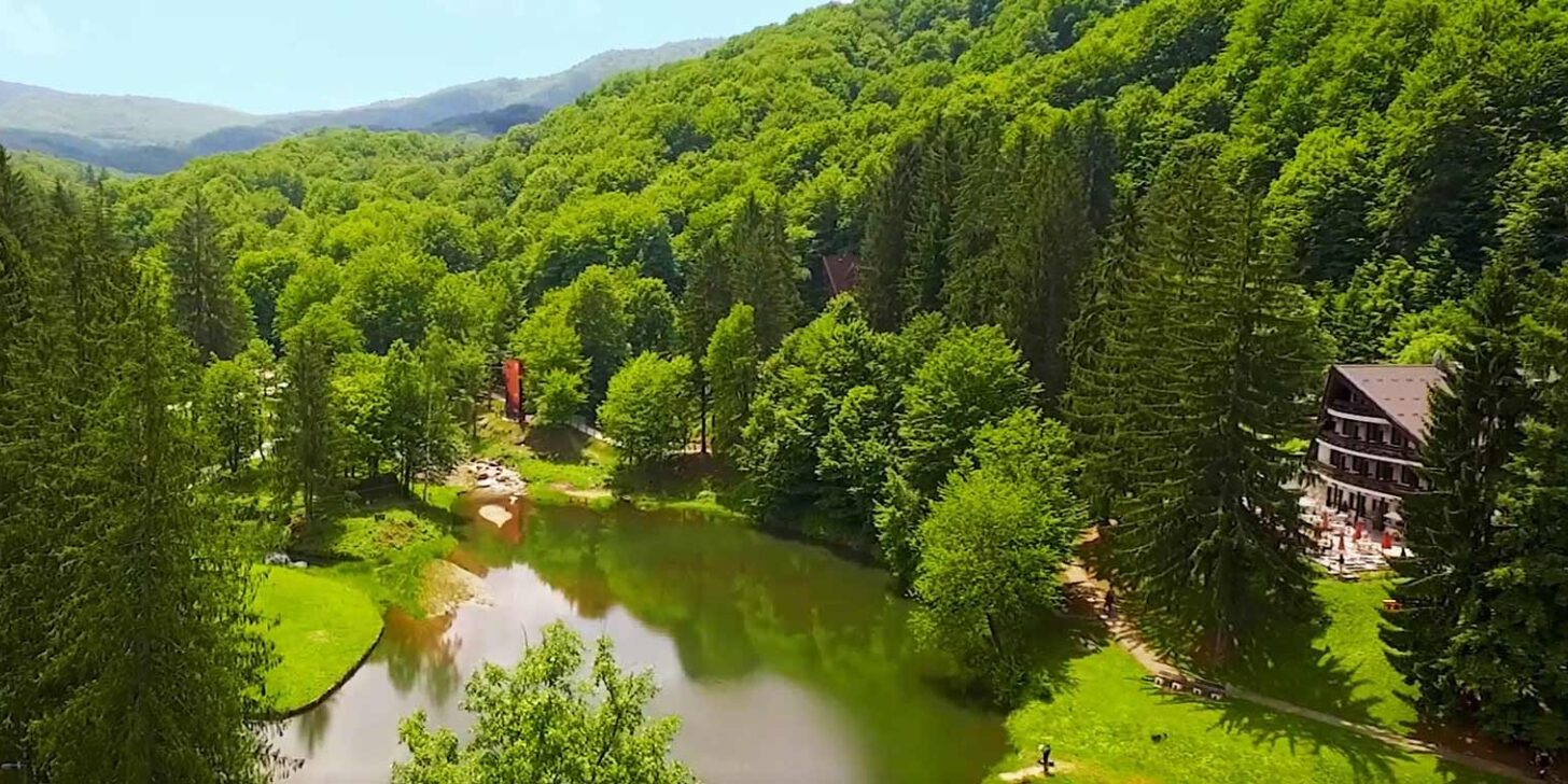 jjastrebac
